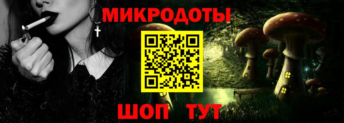 Вольск  Галлюциногенные грибы Psilocybine cubensis  Галлюциногенные грибы прущие грибы  Вход с VPN 